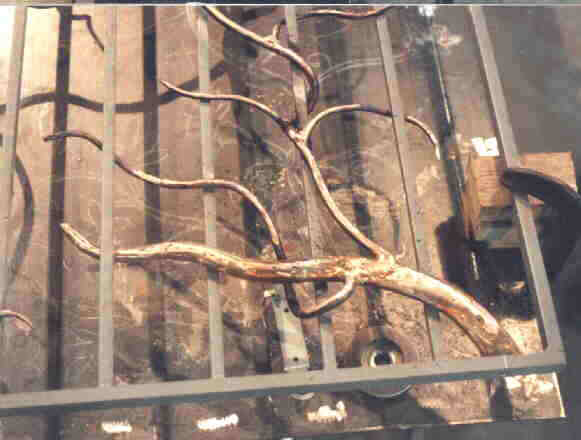 Bottom of the gate with the vines in place.