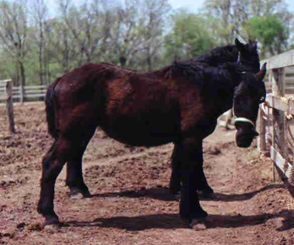 2 year olds in March 1999.