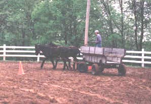 2 year olds wagon work working around obstacles.