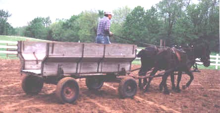 2 year olds wagon work working around obstacles. 1999