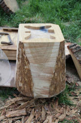 Sides trimmed and taper cut