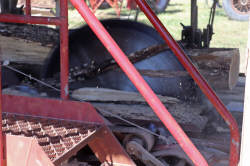 Back To The Farm Reunion 2023 - Sawmilling Demonstration With Steam Tractor